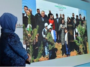 81 İlde Bereket Ormanları Projesi