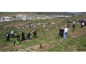 Bursa’da Bereket Ormanları Kuruldu