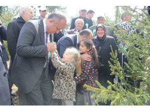 Kastamonu’da “Bereket Ormanları” Projesi Hayata Geçti