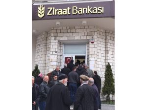 Fındık Üreticisine Müthiş Destek