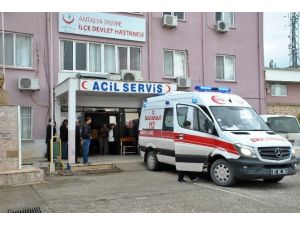 Demre’de Domuz Gribi Şüphesi