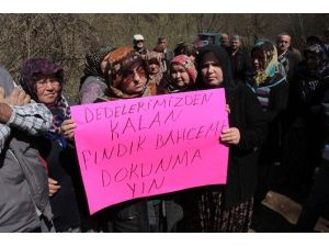 Alaplı’da Köylülerin Taş Ocağı Eylemi Sonuç Verdi
