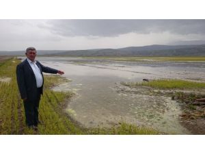 8 Bin Dönüm Arazi Sular Altında