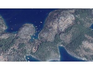 Dalaman’daki Koyların İhalesi Sorunsuz Olarak Tamamlandı