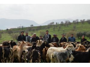 Sürü Yöneticileri Sahaya İndi