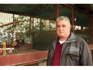 Taksi Durağını Kuş Cennetine Çevirdi
