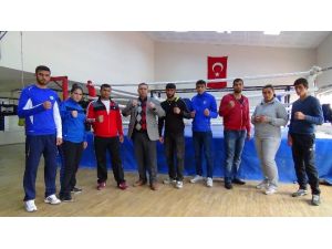 Bir Aile 20 Boksör !