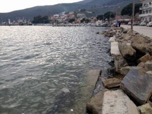 Narlı Sahillerinde Üzen Manzaralar