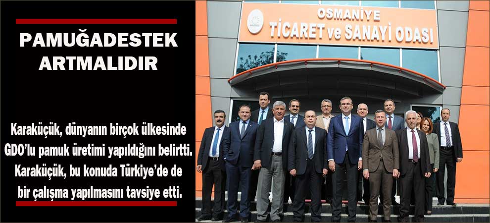 Pamuğa destek artırılmalı