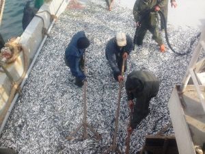 İç Sularda Av Yasağı Başlıyor