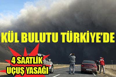 Kül, Türkiyede uçuş iptal ettirdi 