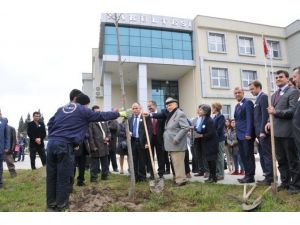 Omü’de 40 Yıla 40 Fidan Dikildi