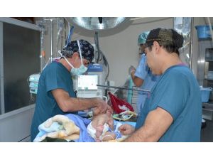 Dünyanın İlk Üniversitesinden Dünyada Bir İlk
