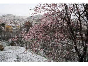 Baharda Kar Sürprizi