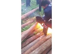 Boruya Sıkışan Tavşanı İtfaiye Ekipleri Kurtardı
