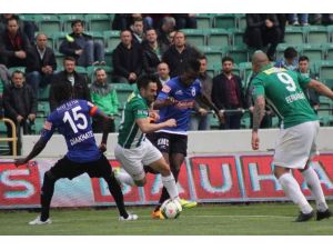 Timsah Evinde Avladı