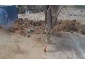 Gerçek Yetenek Budur!