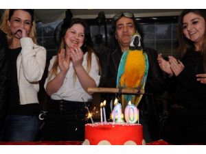 (Özel Haber) Özal’ın Papağanına 40. Yaş Kutlaması