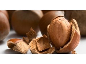 Türk Fındığına ’Lobi’ Uyarısı