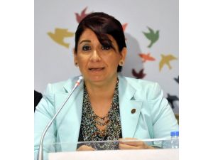 40 Yaş Üstündeki Her Beş Kişiden Biri Koah’lı