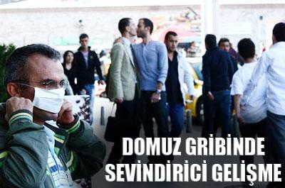 Domuz gribinde sevindirici gelişme