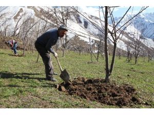 (Özel Haber) Çözüm Süreci Boşaltılan Köylere Bahar Getirdi