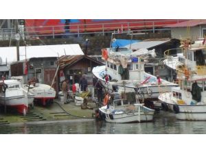 Karadeniz’de Av Sezonu Erken Bitti