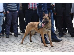 K9 Köpeklerinden Şov