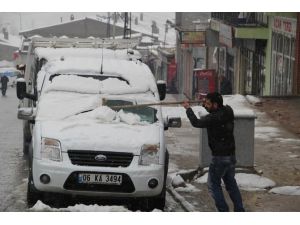 Van Beyaza Büründü