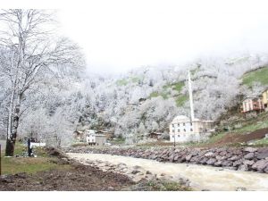 Baharın Kışla Buluşması