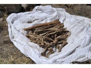 Katliama Ait İlk Toplu Mezar Açılacak