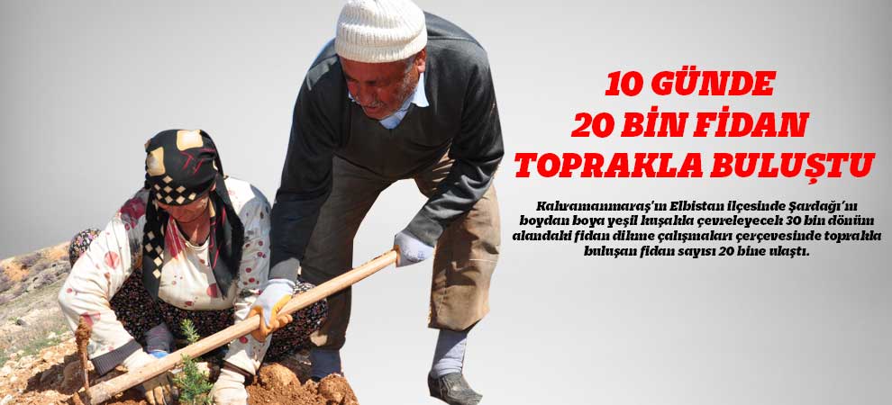 10 Günde 20 Bin Fidan Toprakla Buluştu