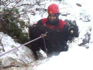 Uçurumda Mahsur Kalan 7 Keçi Kurtarıldı