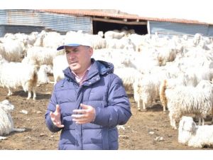 Damızlık Koyun Keçi Üreticileri Birliği Başkanı Hasan Kılıç: