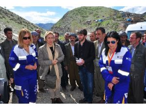 Haytap, Öldürülen Katırlar İçin Irak Sınırında