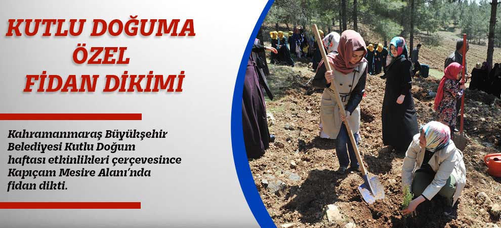 Kutlu Doğuma Özel Fidan Dikimi