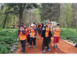 Her Adım Engelleri Ortadan Kaldırmak İçin
