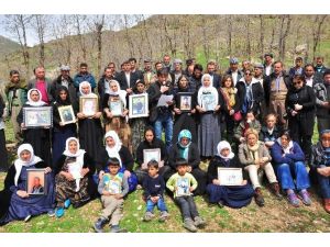 Haytap, Uludere’de Öldürülen Katırlar İçin Suç Duyurusunda Bulundu