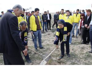 Ali İsmail Korkmaz Adına Hatıra Ormanı
