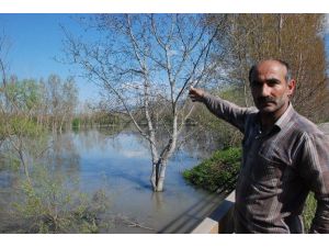 Tokat’ta Tarım Arazilerini Su Bastı