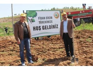 Şehit Savcı İçin Hatıra Ormanı Oluşturuldu