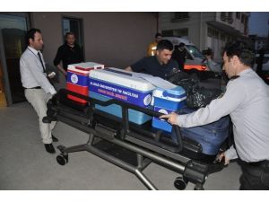Organları İle Üç Hastaya Umut Oldu