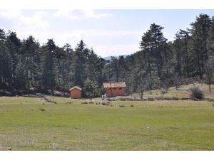 Büyükorhan Kestane, Erik Ve Cevizin Merkezi Olacak