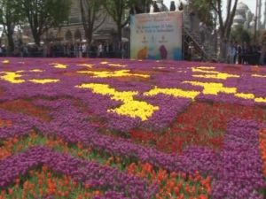 Dünyanın En Büyük ’Lale Halısı’ Yapıldı