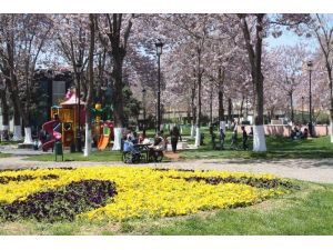 Vatandaşlar Isınan Havanın Tadını Çıkardı