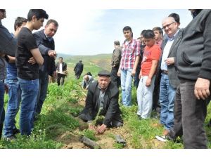 İnegöllü Mobilyacılar 600 Fidanı Toprakla Buluşturdu