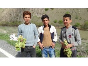 (Özel Haber) Uçkun Satarak Okul Harçlıklarını Çıkarıyorlar