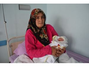 ’Kutlu Doğum’ Bebeğine Çeyrek Altın