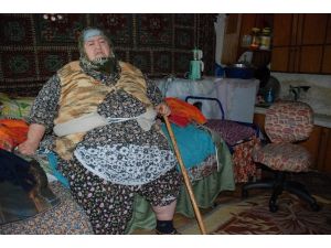 230 Kiloluk Kadının Dramı