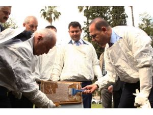 Sezonun İlk Narenciye Balı Devlet Bahçeli’ye